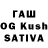 APVP VHQ Tsering Choedon