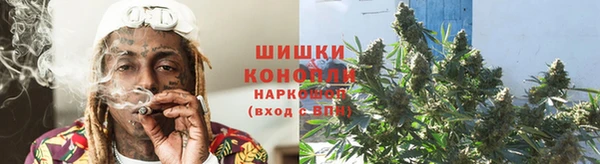 дмт Арсеньев