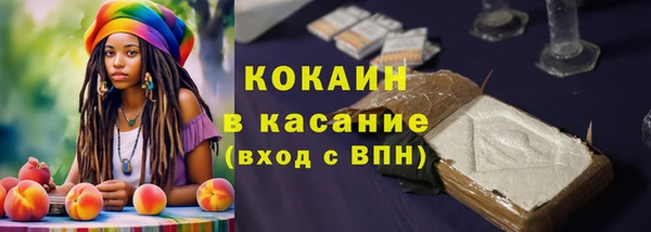 ПСИЛОЦИБИНОВЫЕ ГРИБЫ Армянск