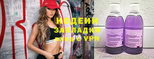 дмт Арсеньев