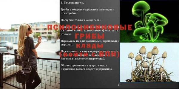 ПСИЛОЦИБИНОВЫЕ ГРИБЫ Армянск