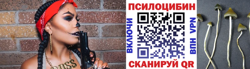 Псилоцибиновые грибы Psilocybe  нарко площадка Telegram  Лангепас  где купить наркотик 